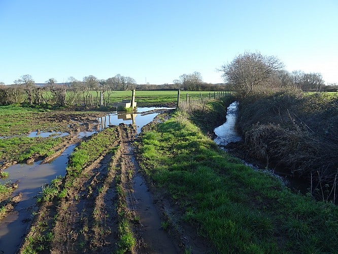 Site of the proposed 49.9MW Langford solar farm