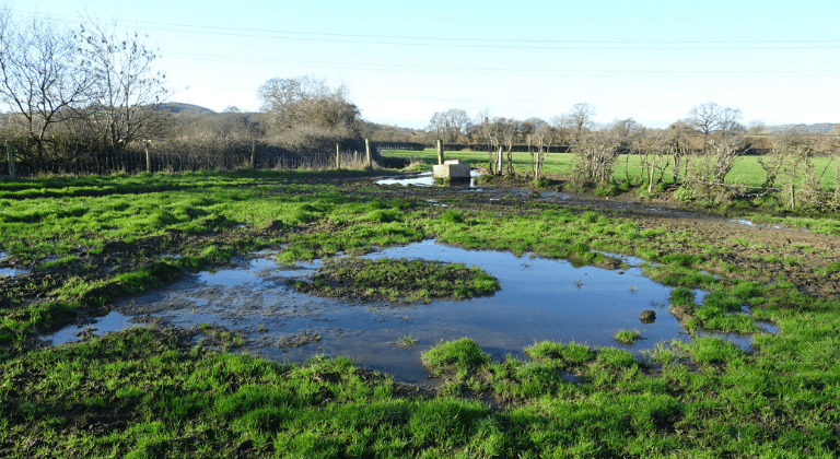 The proposed wildlife wetlands field on the Langford solar farm